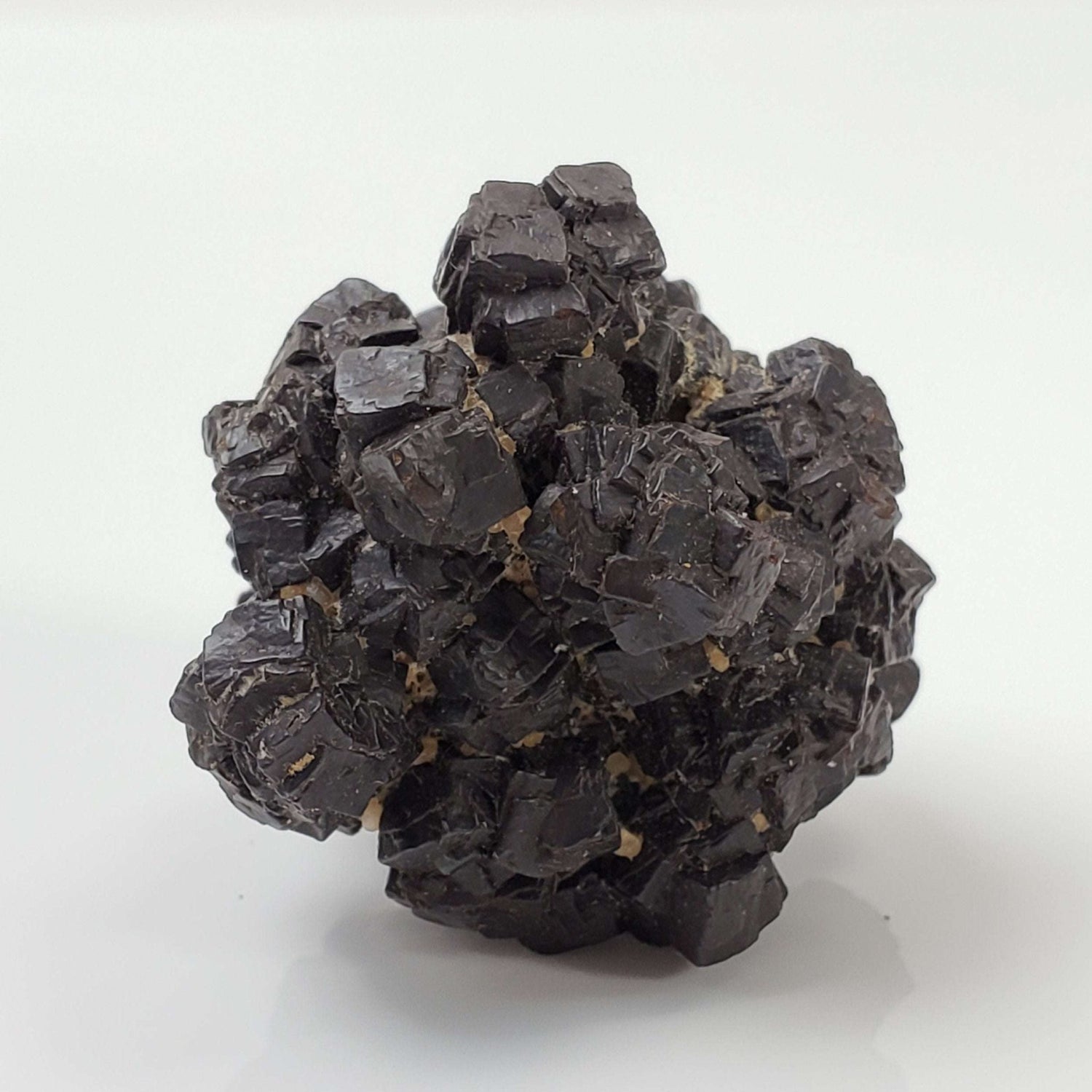  Pseudomorph Goethite After Marcasite | Prophecy Stone | 38 gr | Farafra Oasis, Egypt 2