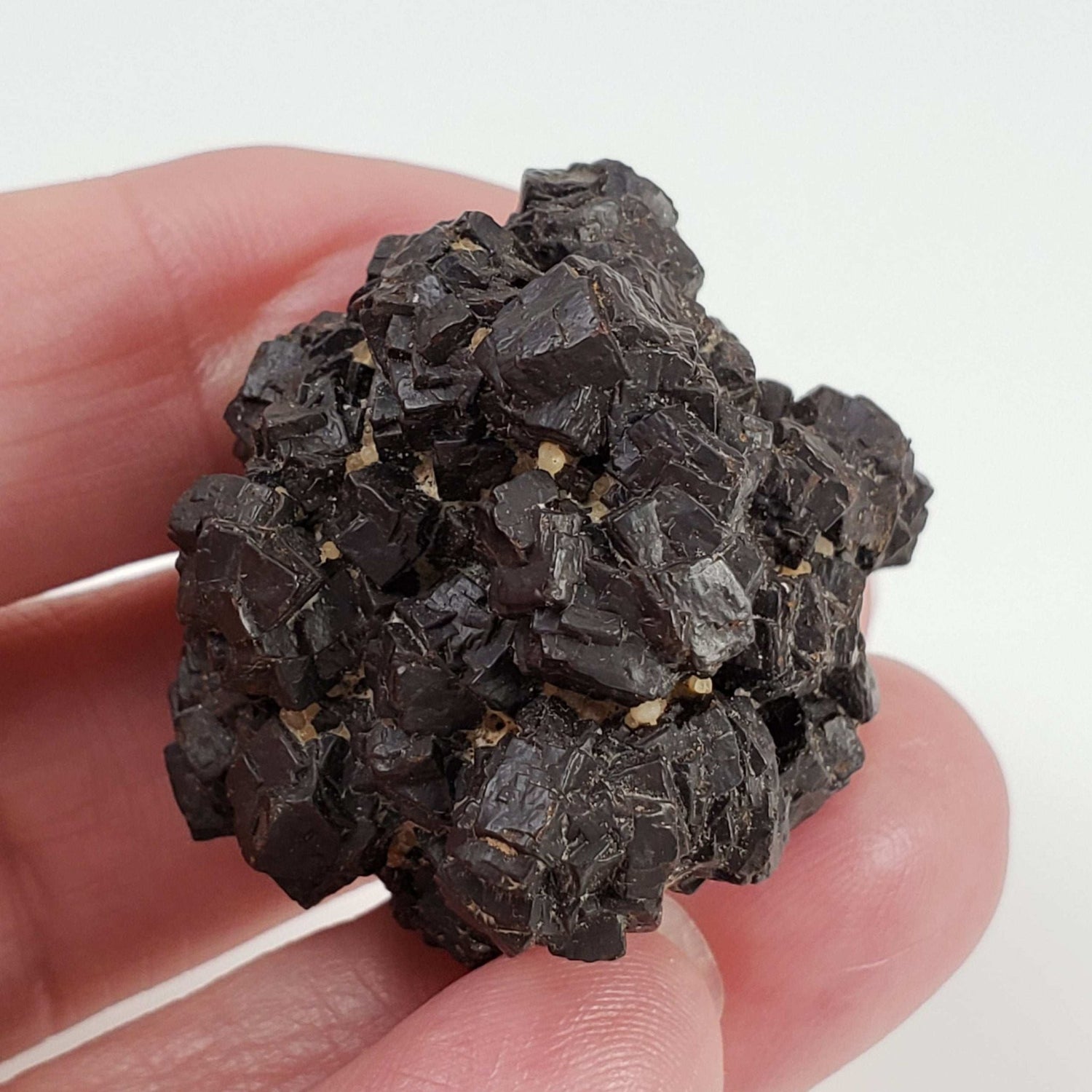  Pseudomorph Goethite After Marcasite | Prophecy Stone | 38 gr | Farafra Oasis, Egypt 5