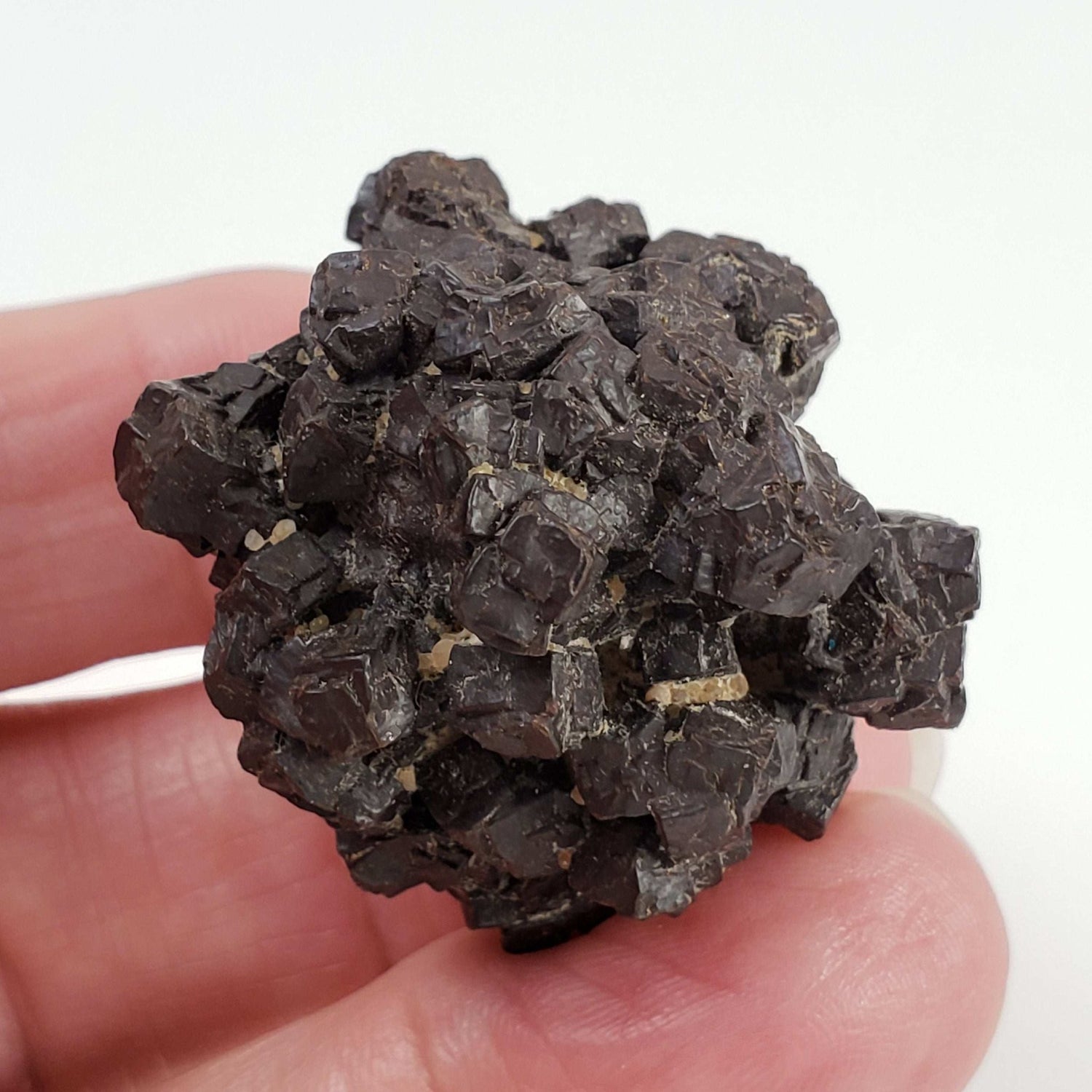  Pseudomorph Goethite After Marcasite | Prophecy Stone | 38 gr | Farafra Oasis, Egypt 6