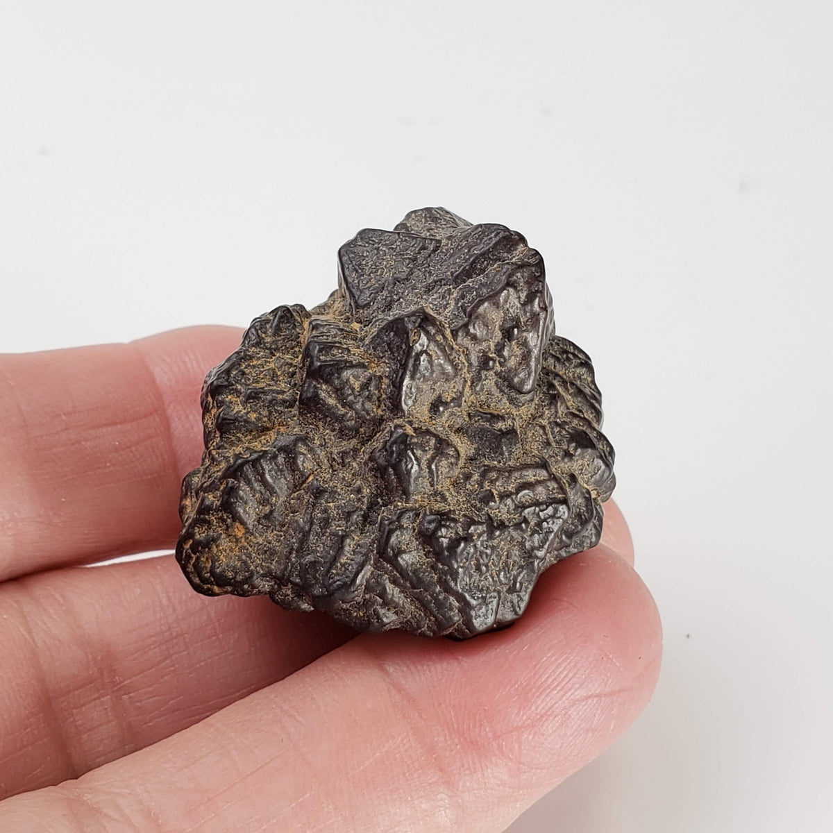  Pseudomorph Goethite After Marcasite | Prophecy Stone | 42gr | Farafra Oasis, Egypt 6