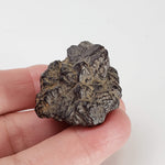  Pseudomorph Goethite After Marcasite | Prophecy Stone | 42gr | Farafra Oasis, Egypt 6