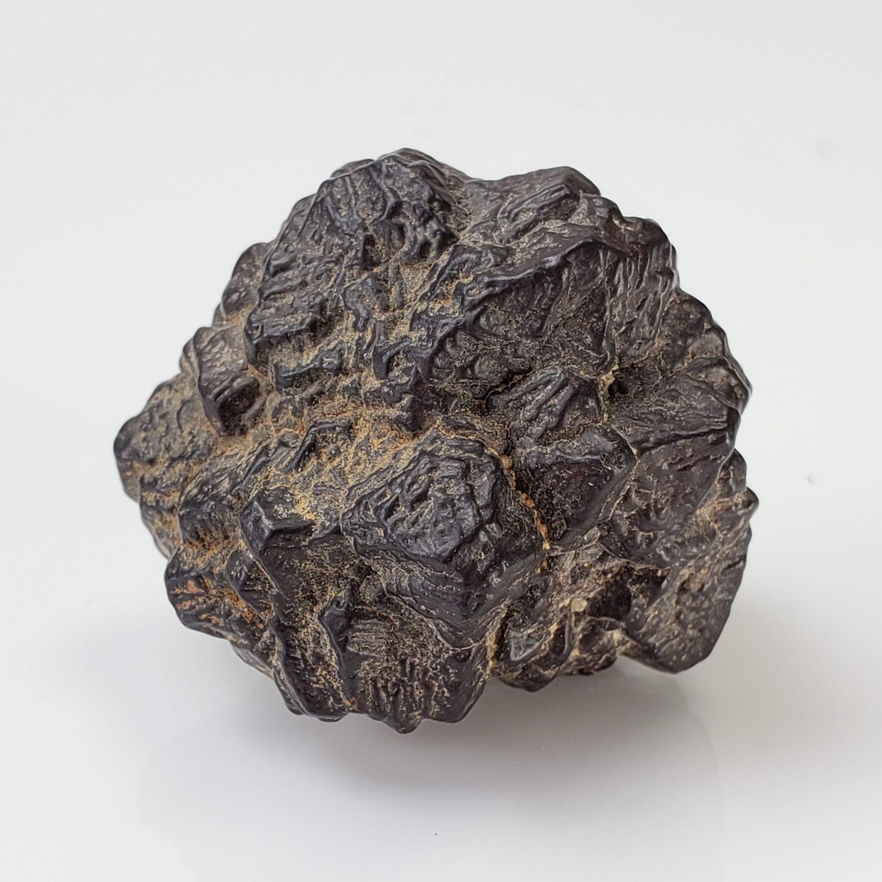 Pseudomorph Goethite After Marcasite | Prophecy Stone | 42gr | Farafra Oasis, Egypt 2