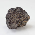  Pseudomorph Goethite After Marcasite | Prophecy Stone | 42gr | Farafra Oasis, Egypt 3
