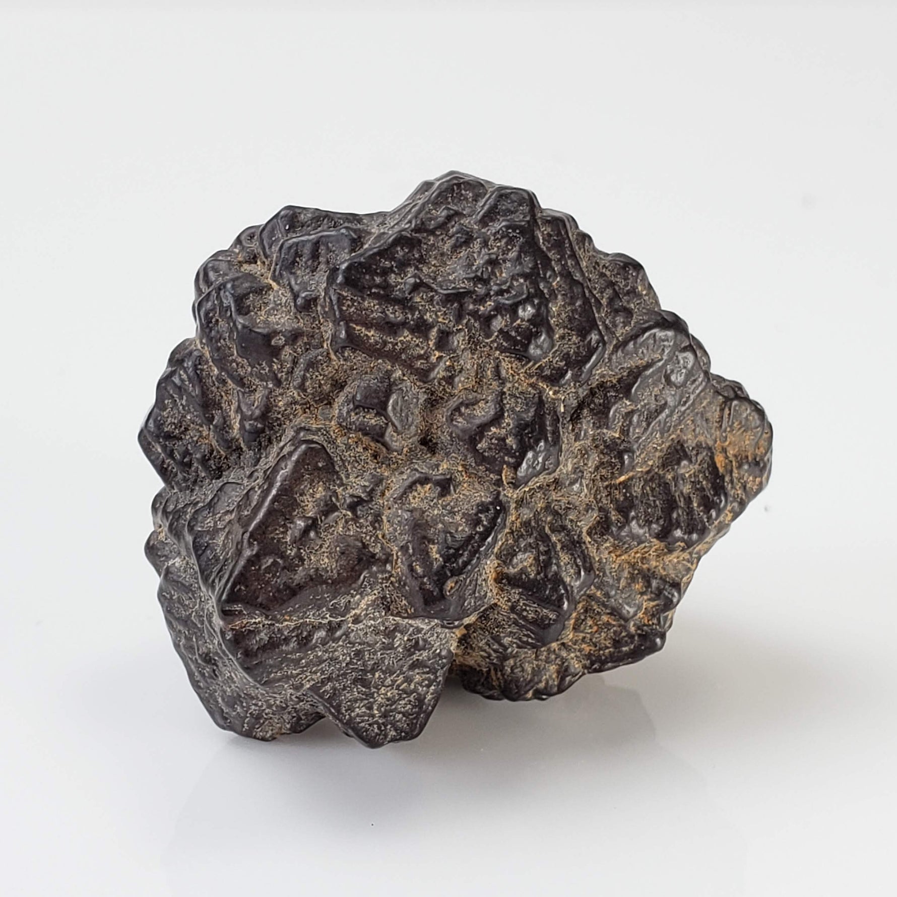  Pseudomorph Goethite After Marcasite | Prophecy Stone | 42gr | Farafra Oasis, Egypt 3