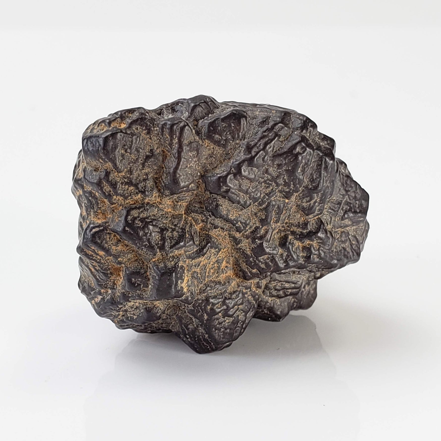  Pseudomorph Goethite After Marcasite | Prophecy Stone | 42gr | Farafra Oasis, Egypt 5