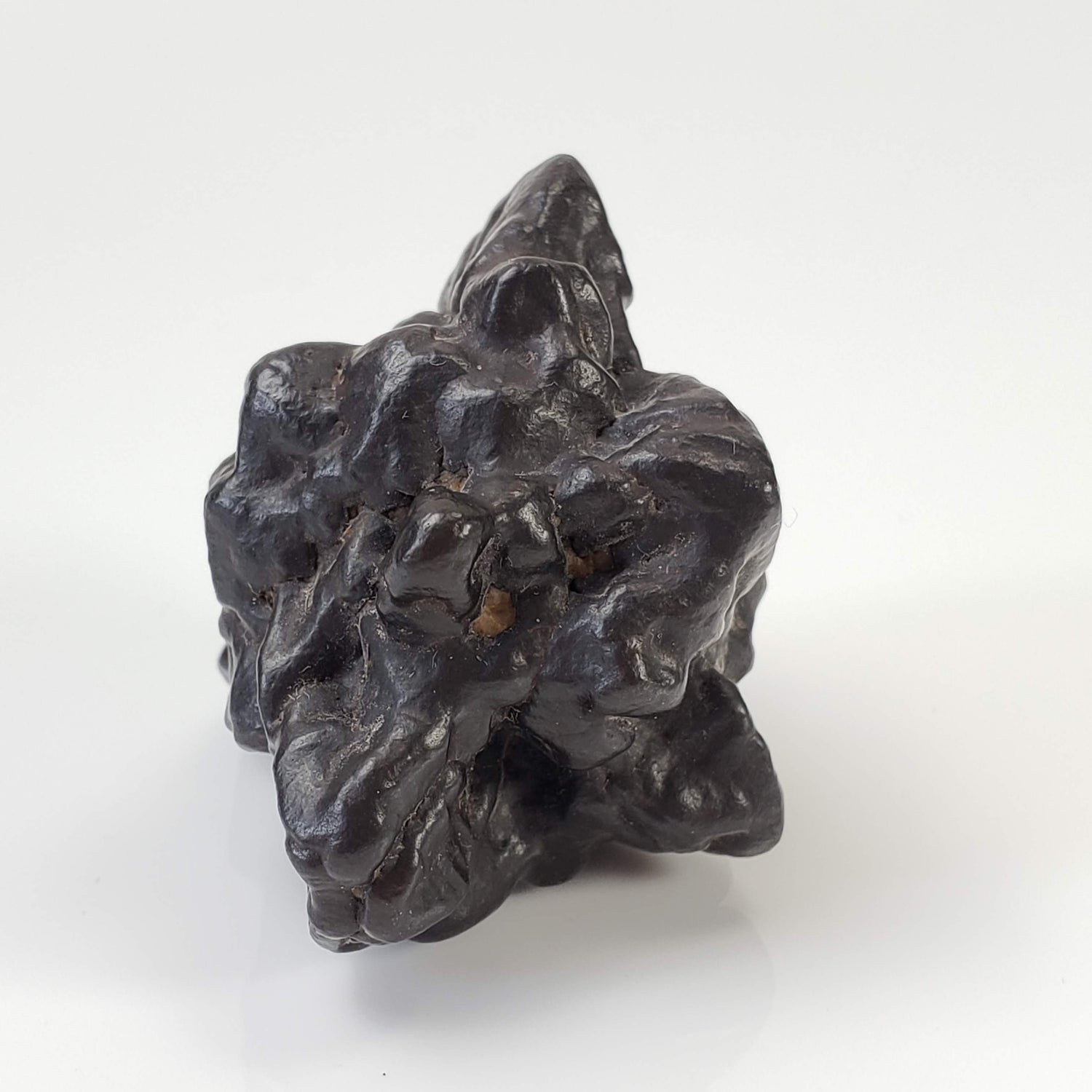  Pseudomorph Goethite After Marcasite | Prophecy Stone | 44.4 gr | Farafra Oasis, Egypt 3