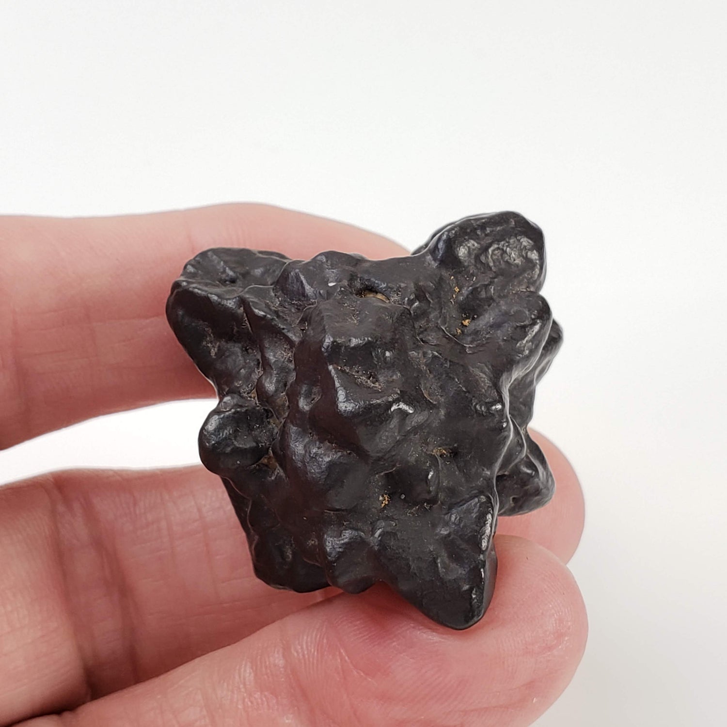  Pseudomorph Goethite After Marcasite | Prophecy Stone | 44.4 gr | Farafra Oasis, Egypt 5