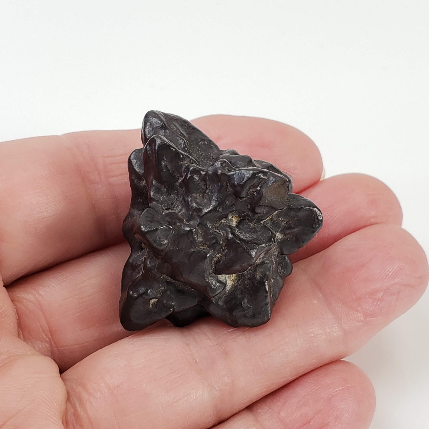  Pseudomorph Goethite After Marcasite | Prophecy Stone | 44.4 gr | Farafra Oasis, Egypt 6