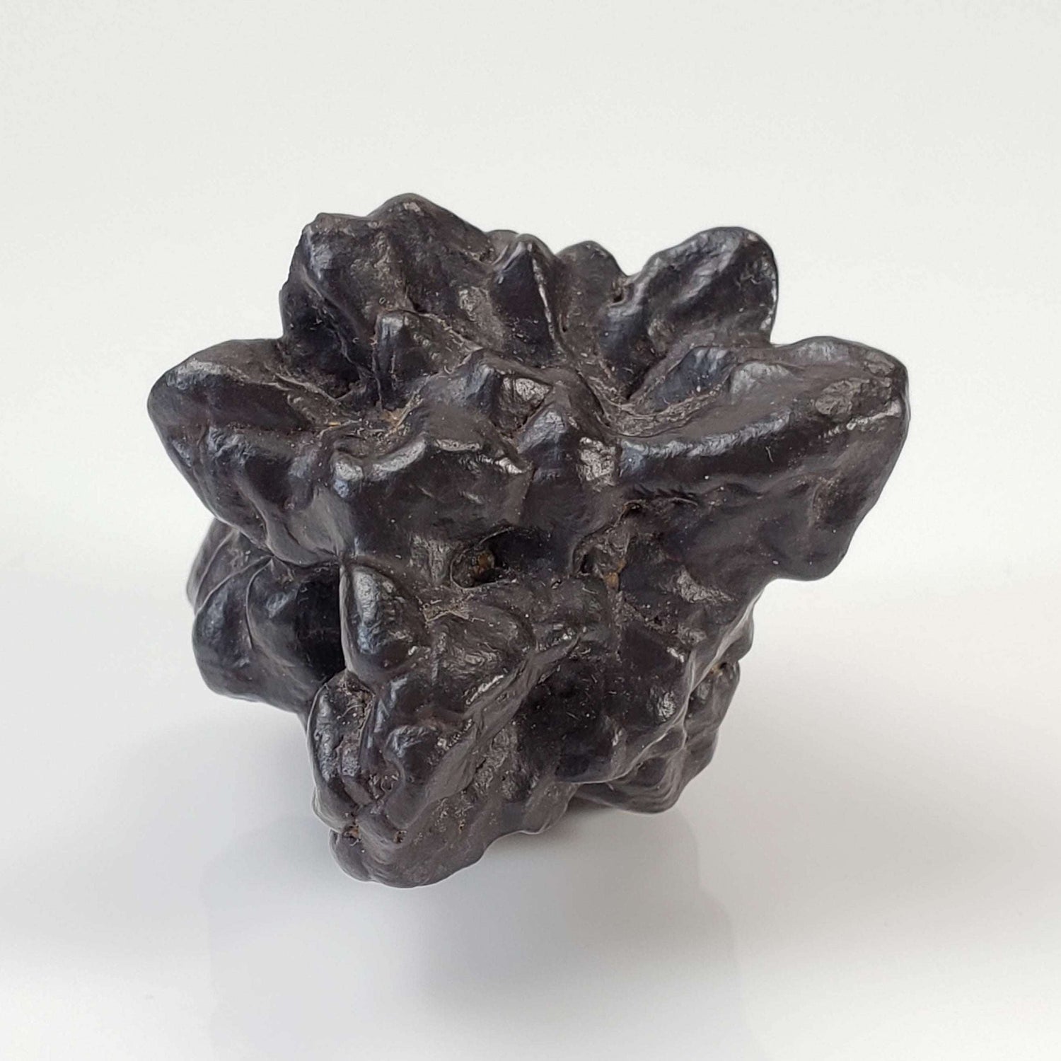  Pseudomorph Goethite After Marcasite | Prophecy Stone | 44.4 gr | Farafra Oasis, Egypt 2