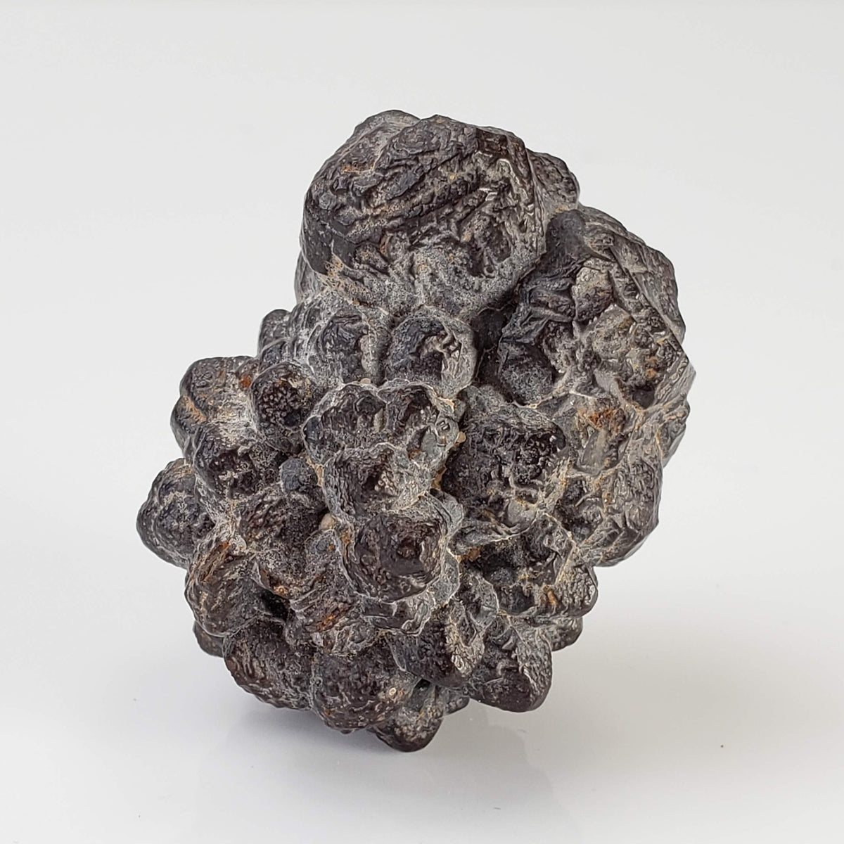  Pseudomorph Goethite After Marcasite | Prophecy Stone | 45.2 gr | Farafra Oasis, Egypt 3