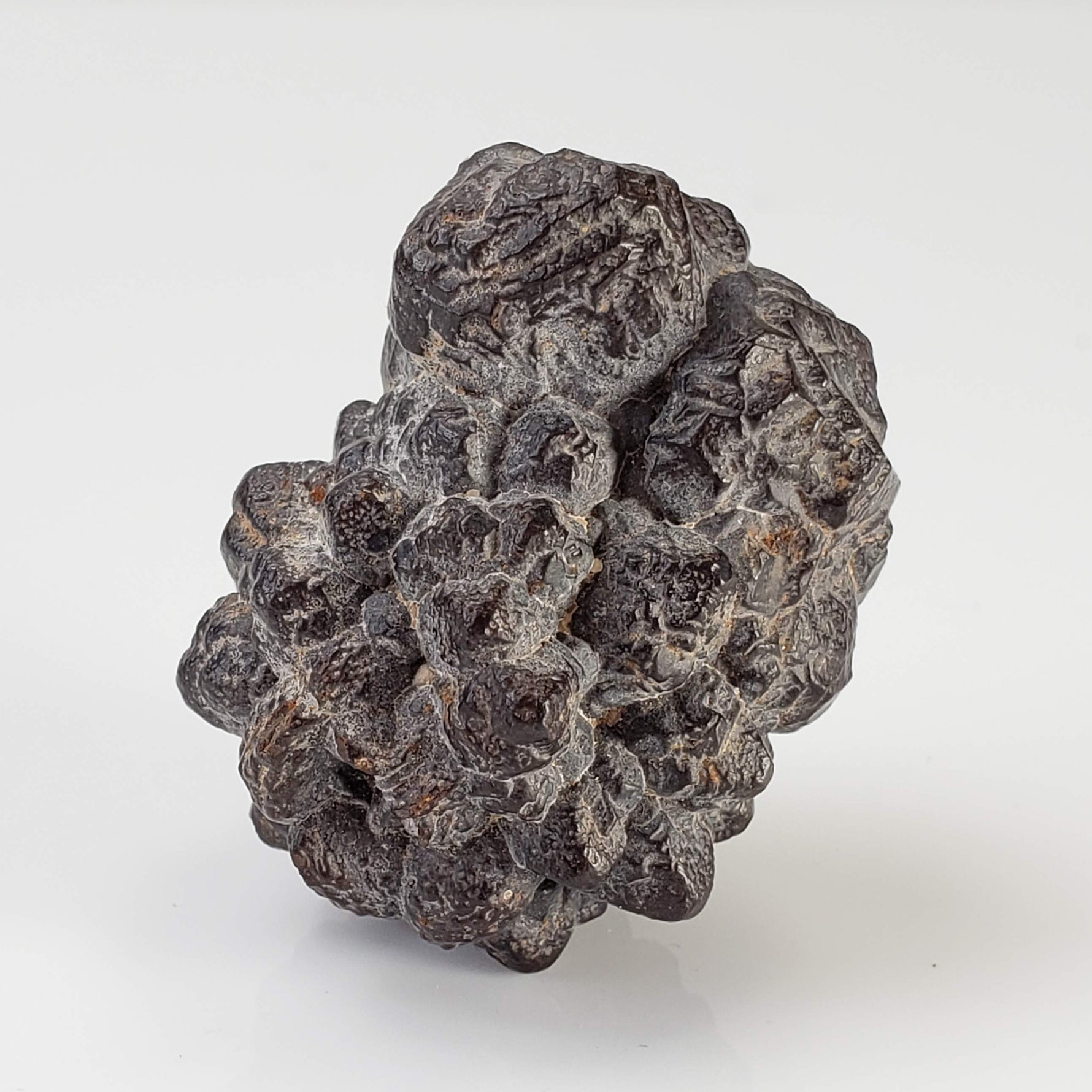  Pseudomorph Goethite After Marcasite | Prophecy Stone | 45.2 gr | Farafra Oasis, Egypt 3