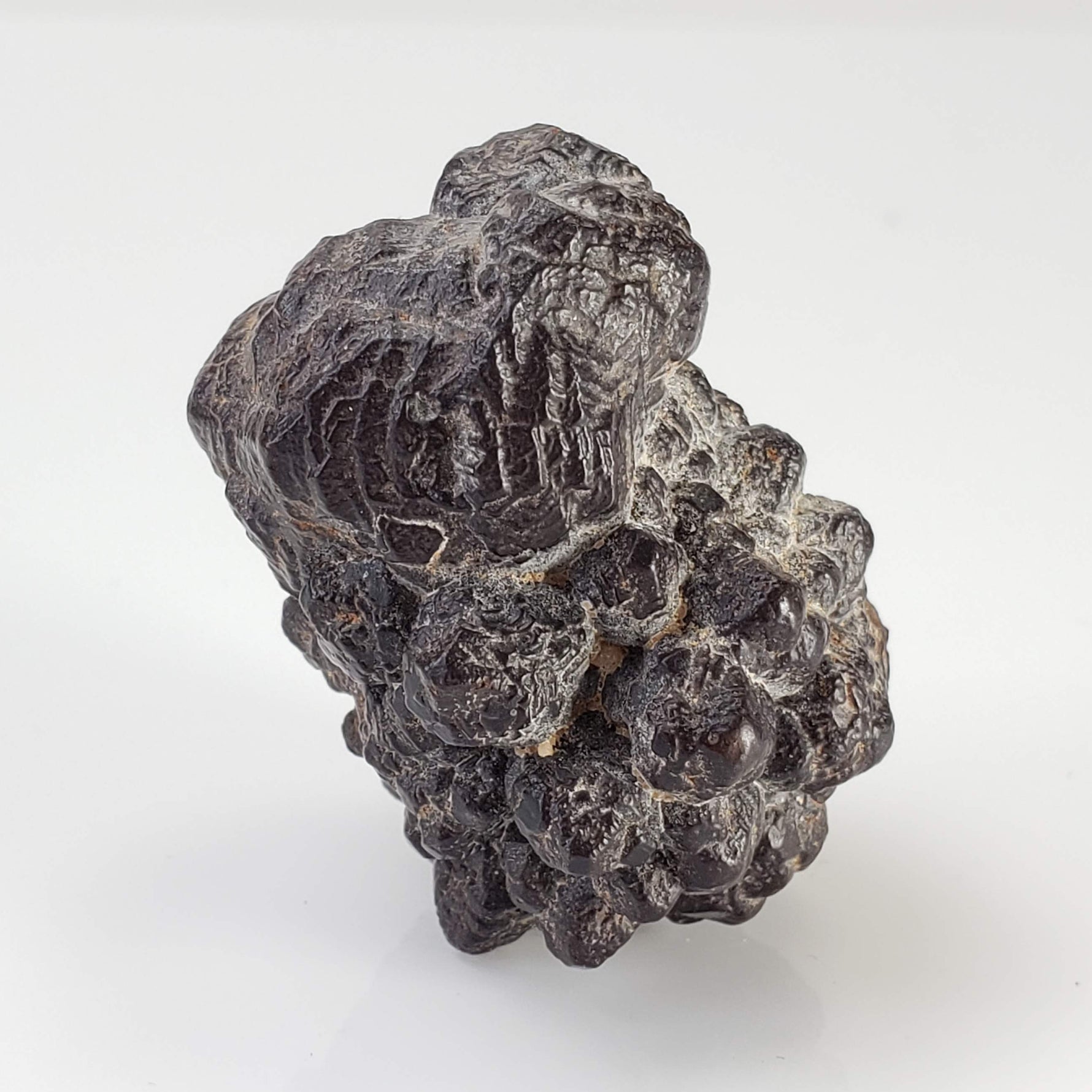  Pseudomorph Goethite After Marcasite | Prophecy Stone | 45.2 gr | Farafra Oasis, Egypt 