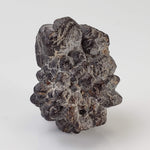  Pseudomorph Goethite After Marcasite | Prophecy Stone | 45.2 gr | Farafra Oasis, Egypt 2