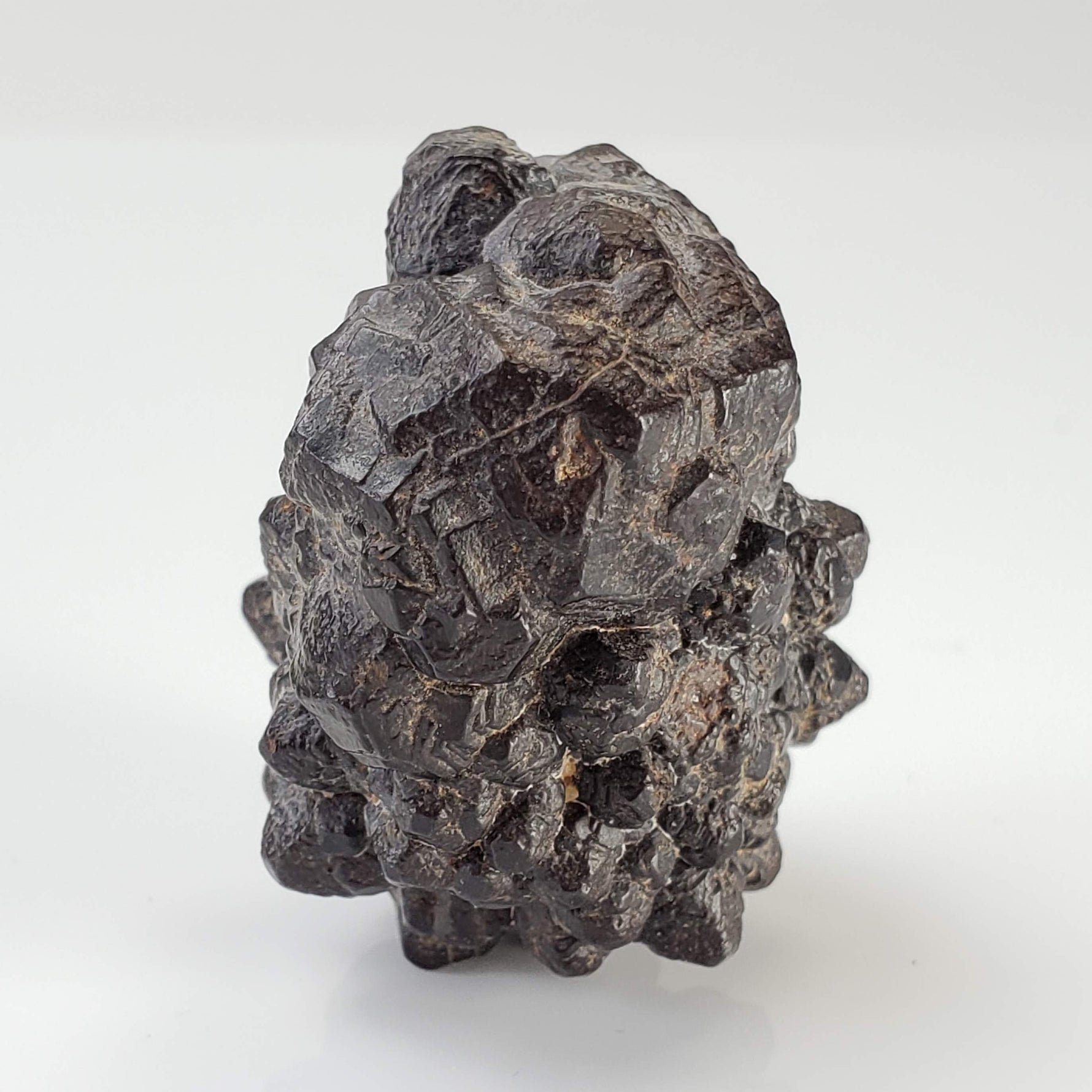  Pseudomorph Goethite After Marcasite | Prophecy Stone | 45.2 gr | Farafra Oasis, Egypt 1