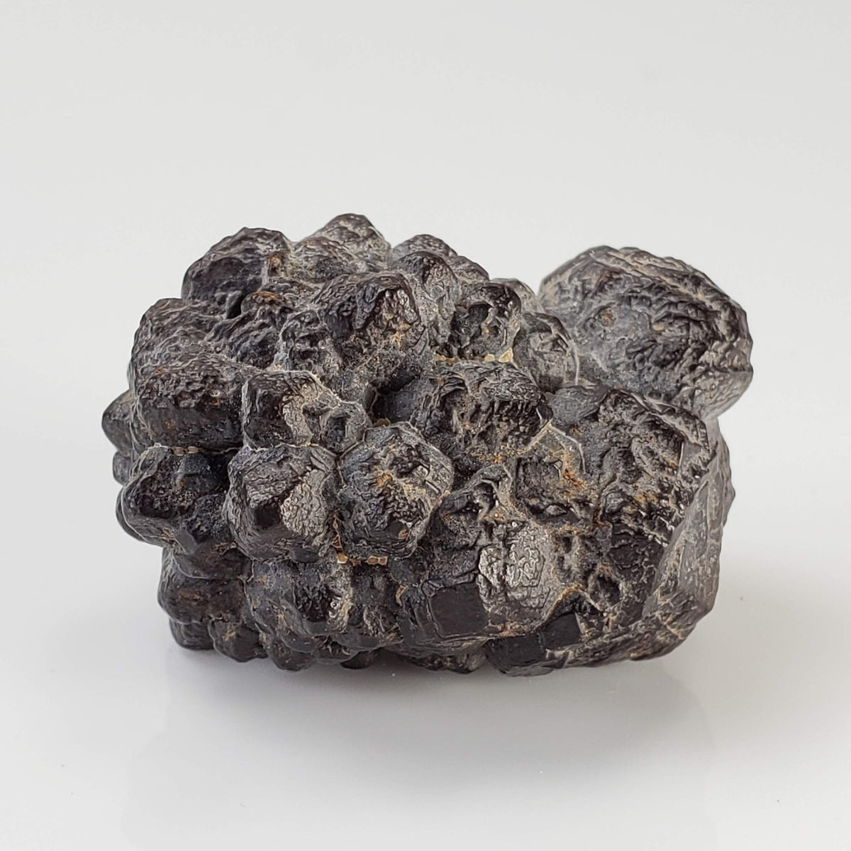  Pseudomorph Goethite After Marcasite | Prophecy Stone | 45.2 gr | Farafra Oasis, Egypt 4