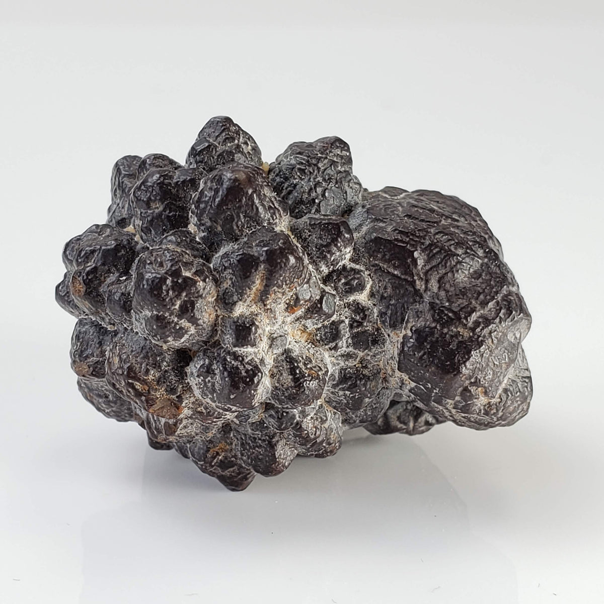 Pseudomorph Goethite After Marcasite | Prophecy Stone | 45.2 gr | Farafra Oasis, Egypt 5