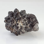  Pseudomorph Goethite After Marcasite | Prophecy Stone | 45.2 gr | Farafra Oasis, Egypt 5