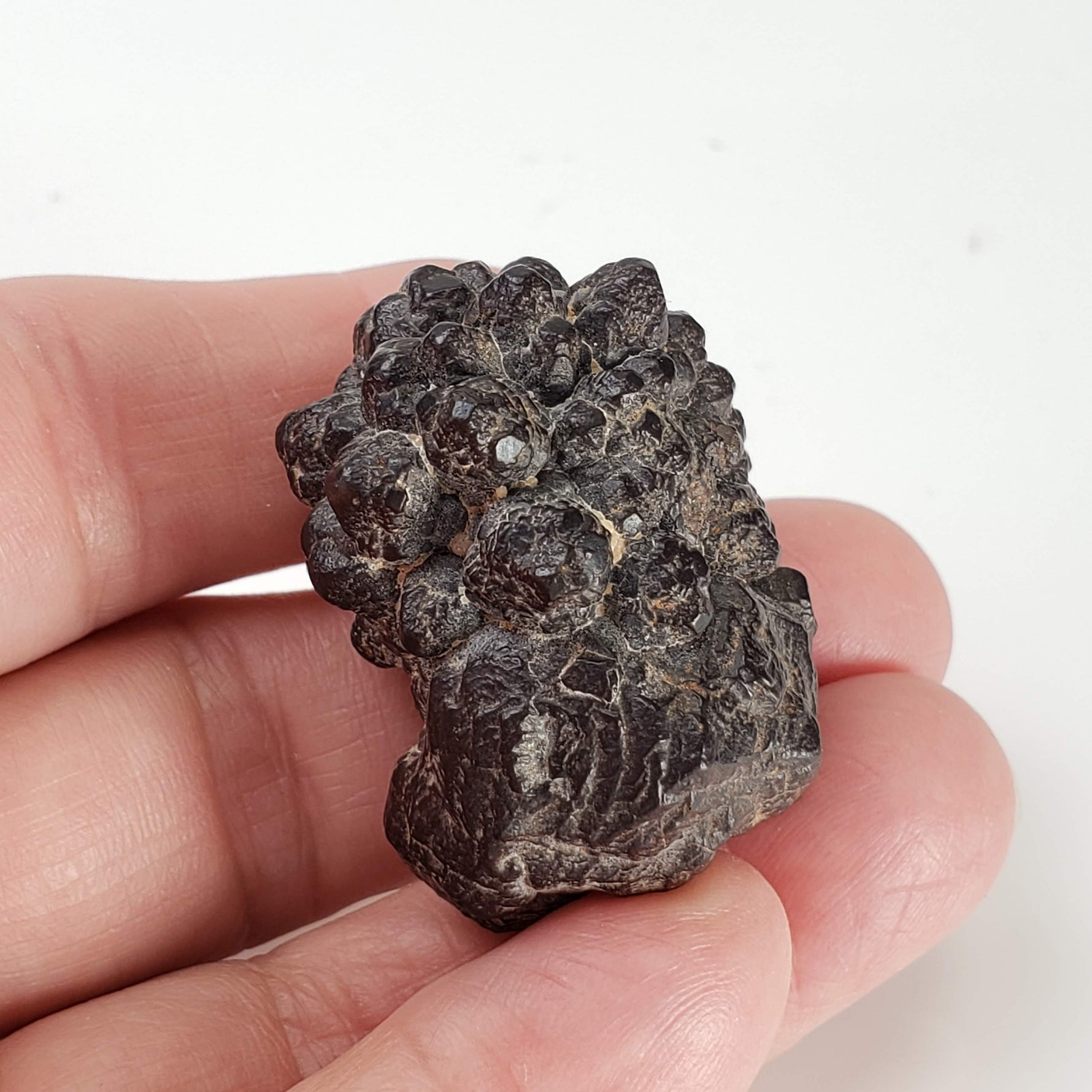  Pseudomorph Goethite After Marcasite | Prophecy Stone | 45.2 gr | Farafra Oasis, Egypt 7