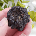  Pseudomorph Goethite After Marcasite | Prophecy Stone | 51.7 gr | Farafra Oasis, Egypt | SO24 1