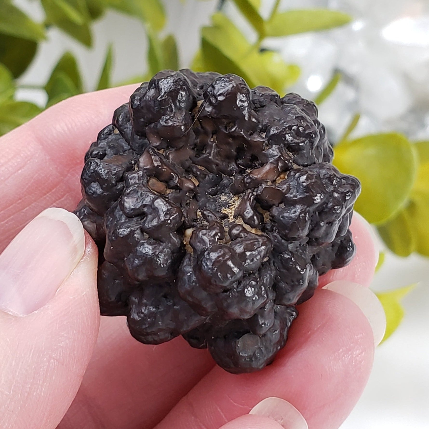  Pseudomorph Goethite After Marcasite | Prophecy Stone | 51.7 gr | Farafra Oasis, Egypt | SO24 1