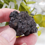  Pseudomorph Goethite After Marcasite | Prophecy Stone | 51.7 gr | Farafra Oasis, Egypt | SO24 2