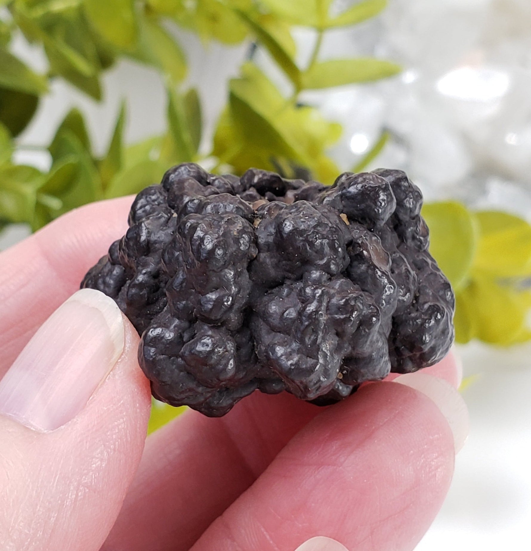  Pseudomorph Goethite After Marcasite | Prophecy Stone | 51.7 gr | Farafra Oasis, Egypt | SO24 3