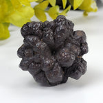  Pseudomorph Goethite After Marcasite | Prophecy Stone | 51.7 gr | Farafra Oasis, Egypt | SO24 6