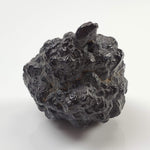  Pseudomorph Goethite After Marcasite | Prophecy Stone | 59.8gr | Farafra Oasis, Egypt 4