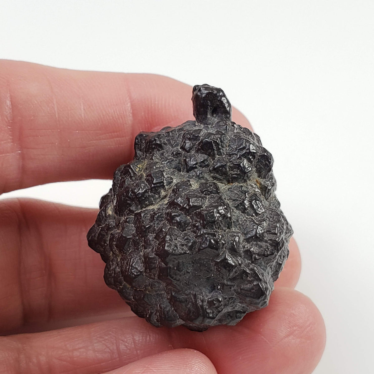  Pseudomorph Goethite After Marcasite | Prophecy Stone | 59.8gr | Farafra Oasis, Egypt 