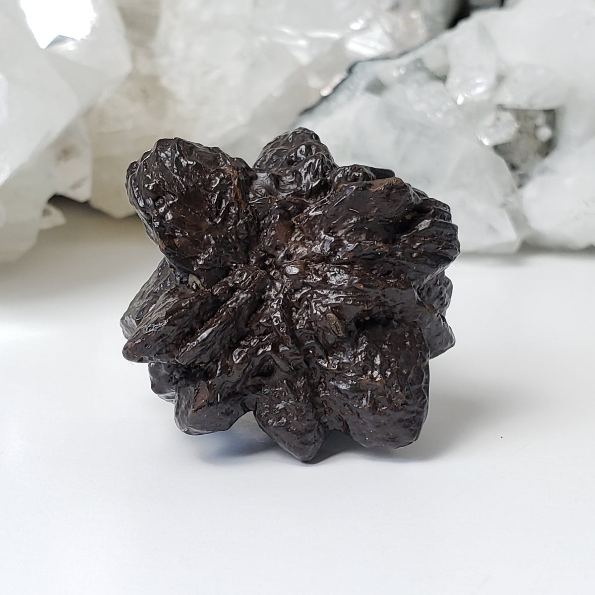  Pseudomorph Goethite After Marcasite | Prophecy Stone | 66.7 gr | Farafra Oasis, Egypt 