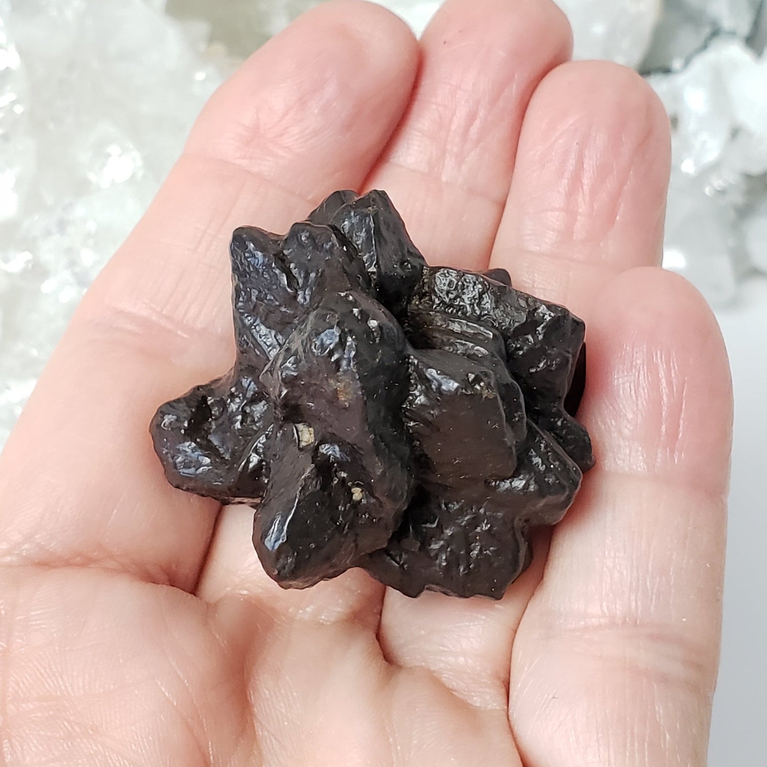  Pseudomorph Goethite After Marcasite | Prophecy Stone | 66.7 gr | Farafra Oasis, Egypt 4