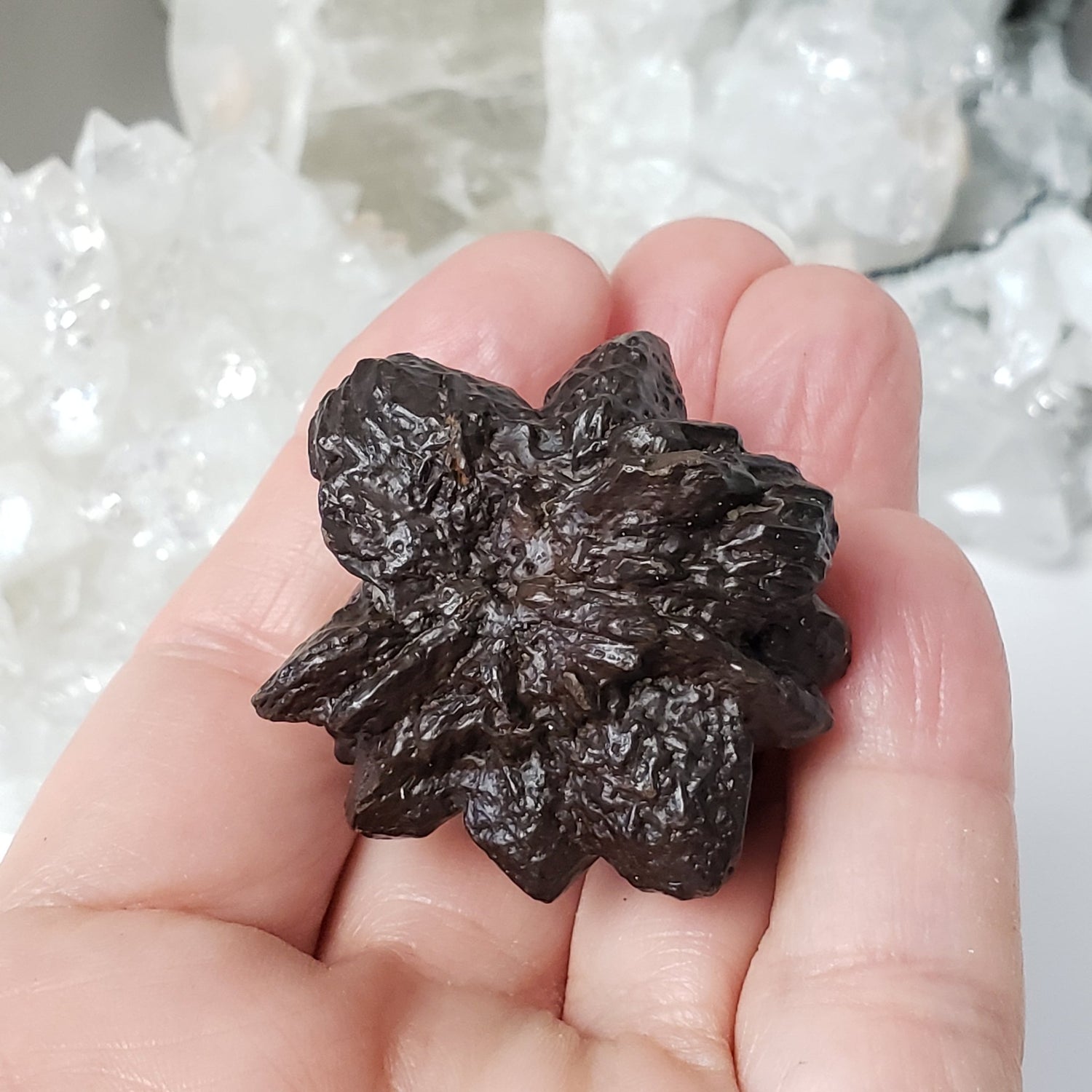  Pseudomorph Goethite After Marcasite | Prophecy Stone | 66.7 gr | Farafra Oasis, Egypt 5