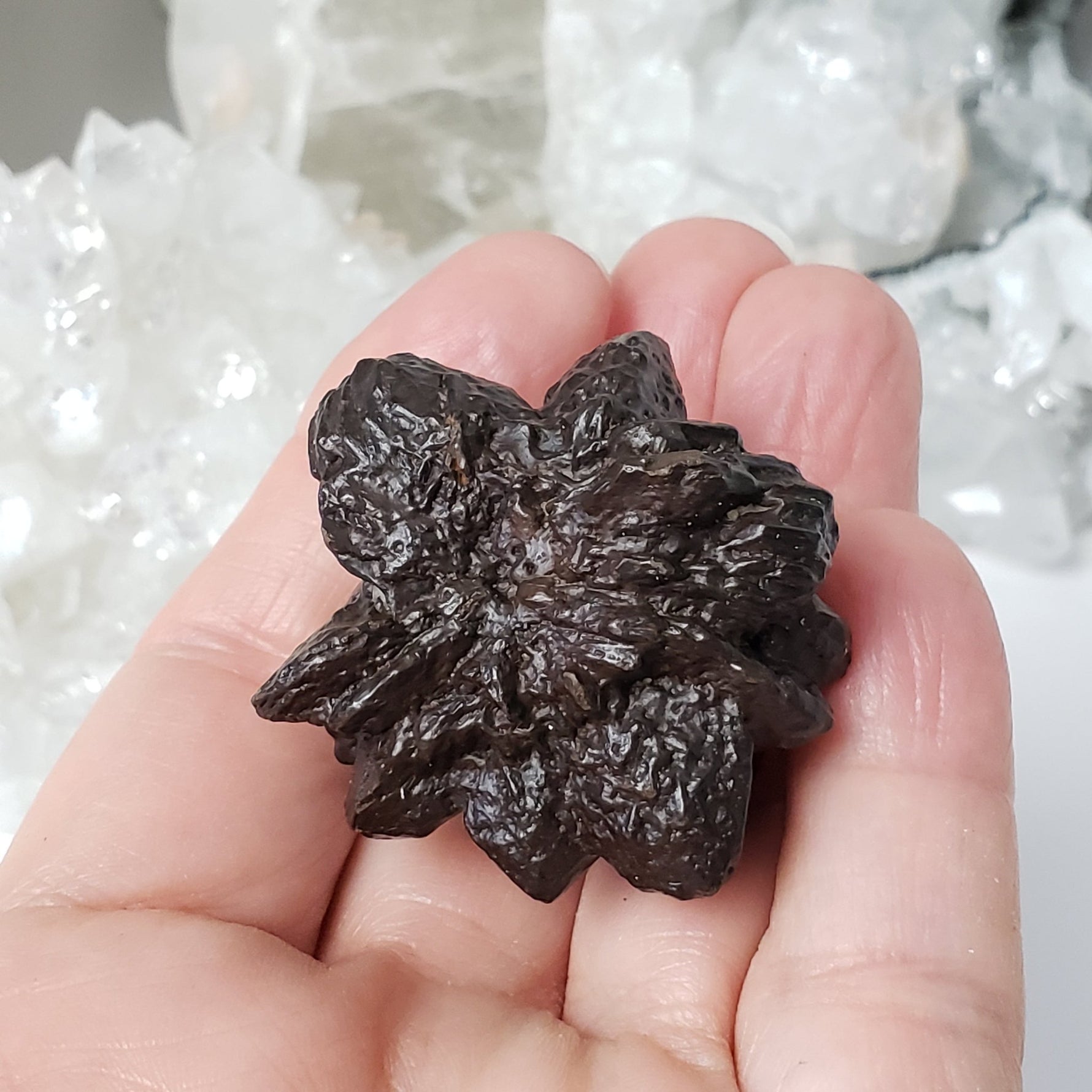  Pseudomorph Goethite After Marcasite | Prophecy Stone | 66.7 gr | Farafra Oasis, Egypt 5