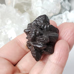  Pseudomorph Goethite After Marcasite | Prophecy Stone | 66.7 gr | Farafra Oasis, Egypt 6