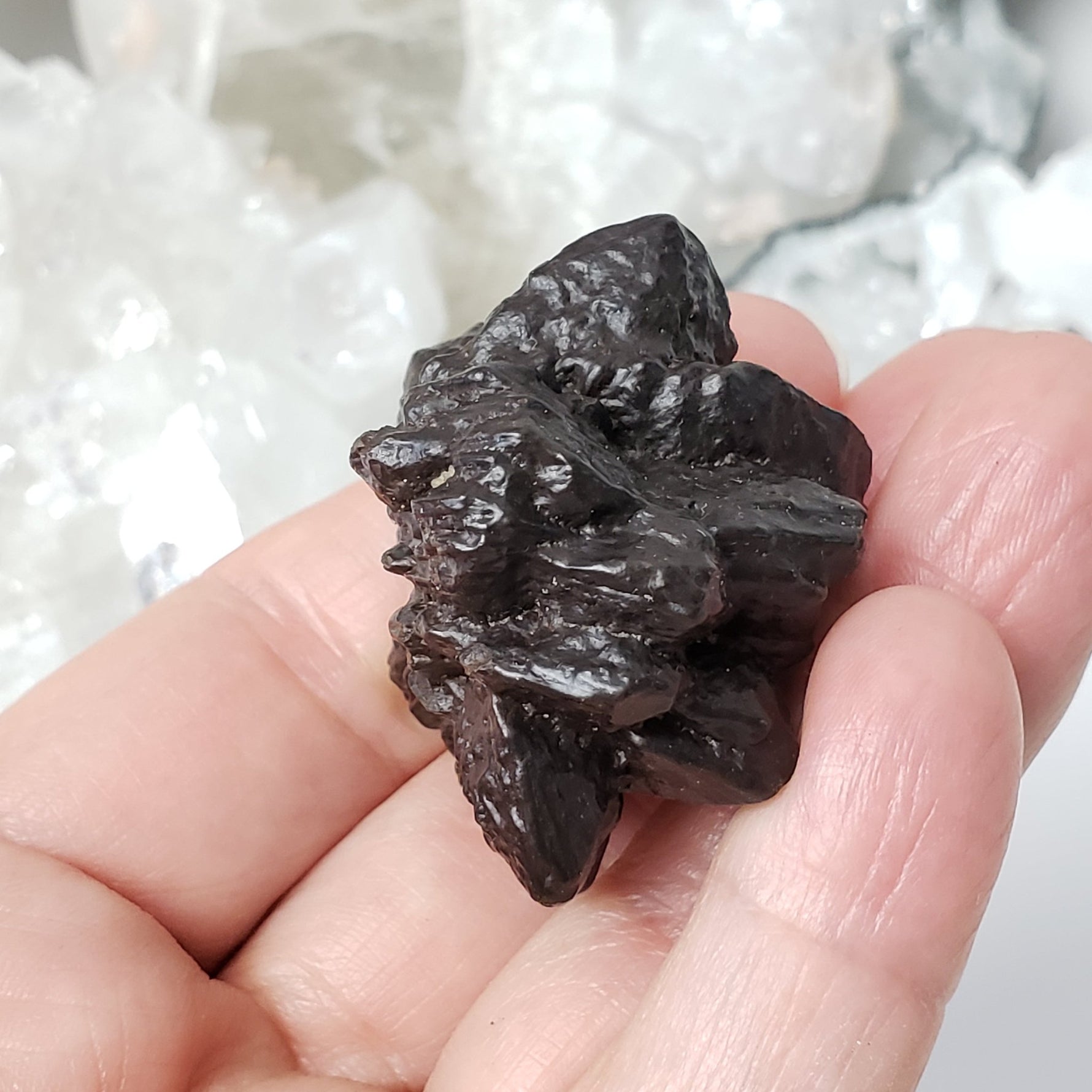  Pseudomorph Goethite After Marcasite | Prophecy Stone | 66.7 gr | Farafra Oasis, Egypt 6