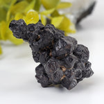  Pseudomorph Goethite After Marcasite | Prophecy Stone | 72 gr | Farafra Oasis, Egypt | SO24 1