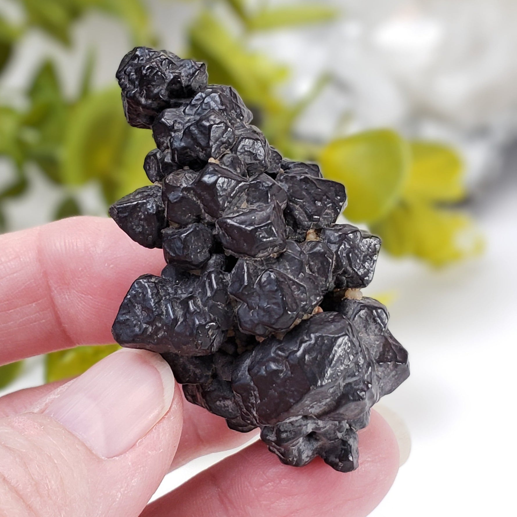  Pseudomorph Goethite After Marcasite | Prophecy Stone | 72 gr | Farafra Oasis, Egypt | SO24 3