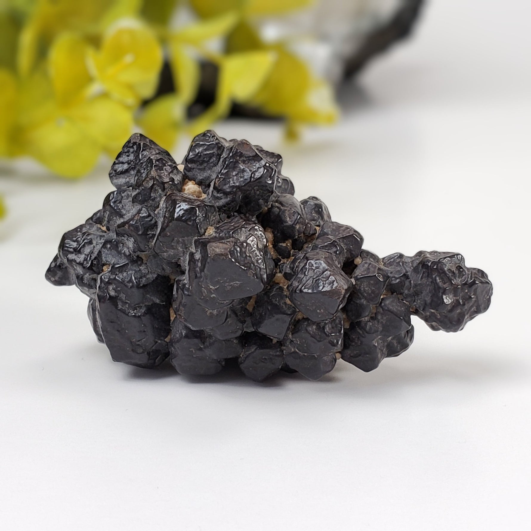  Pseudomorph Goethite After Marcasite | Prophecy Stone | 72 gr | Farafra Oasis, Egypt | SO24 5