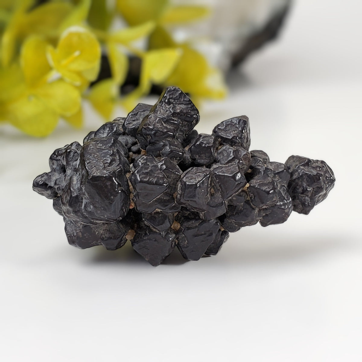  Pseudomorph Goethite After Marcasite | Prophecy Stone | 72 gr | Farafra Oasis, Egypt | SO24 6