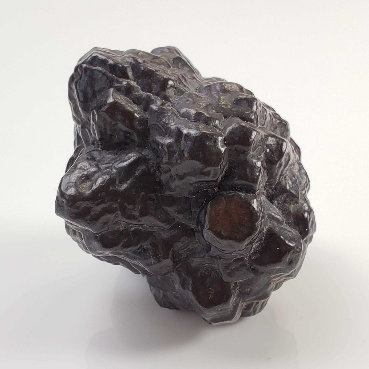  Pseudomorph Goethite After Marcasite | Prophecy Stone | 76.2 gr | Farafra Oasis, Egypt 1