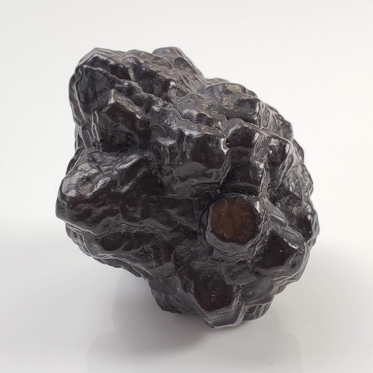  Pseudomorph Goethite After Marcasite | Prophecy Stone | 76.2 gr | Farafra Oasis, Egypt 1