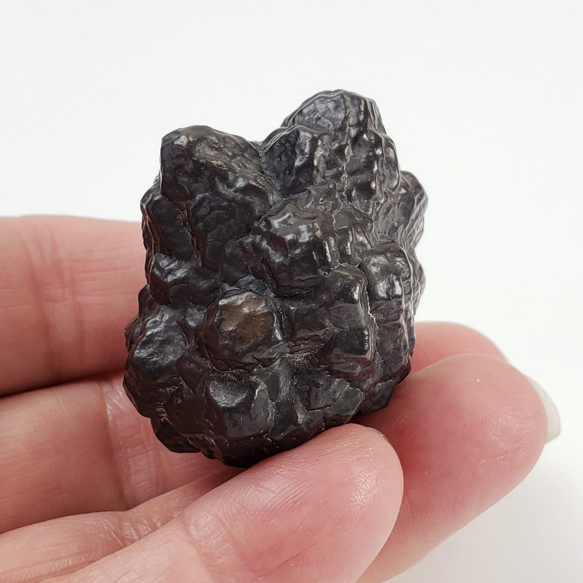  Pseudomorph Goethite After Marcasite | Prophecy Stone | 76.2 gr | Farafra Oasis, Egypt 7