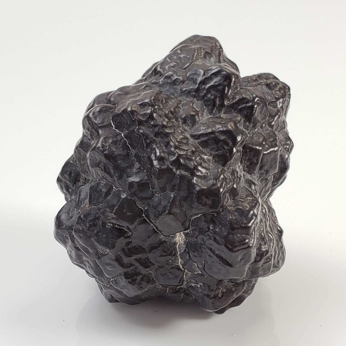  Pseudomorph Goethite After Marcasite | Prophecy Stone | 76.2 gr | Farafra Oasis, Egypt 