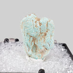  Pseudomorph Turquoise After Apatite | Perky Box Thumbnail Specimen | Sonora, Mexico 