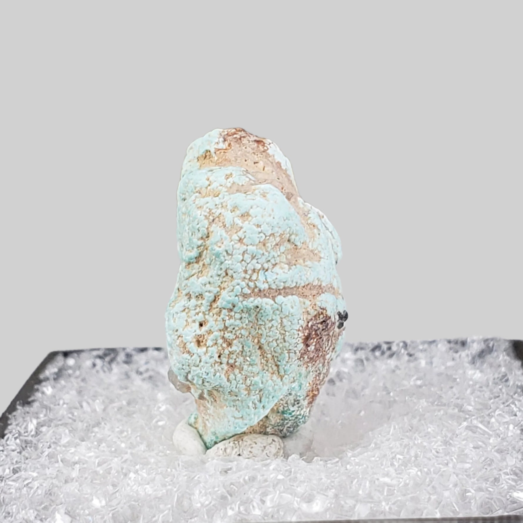  Pseudomorph Turquoise After Apatite | Perky Box Thumbnail Specimen | Sonora, Mexico 1