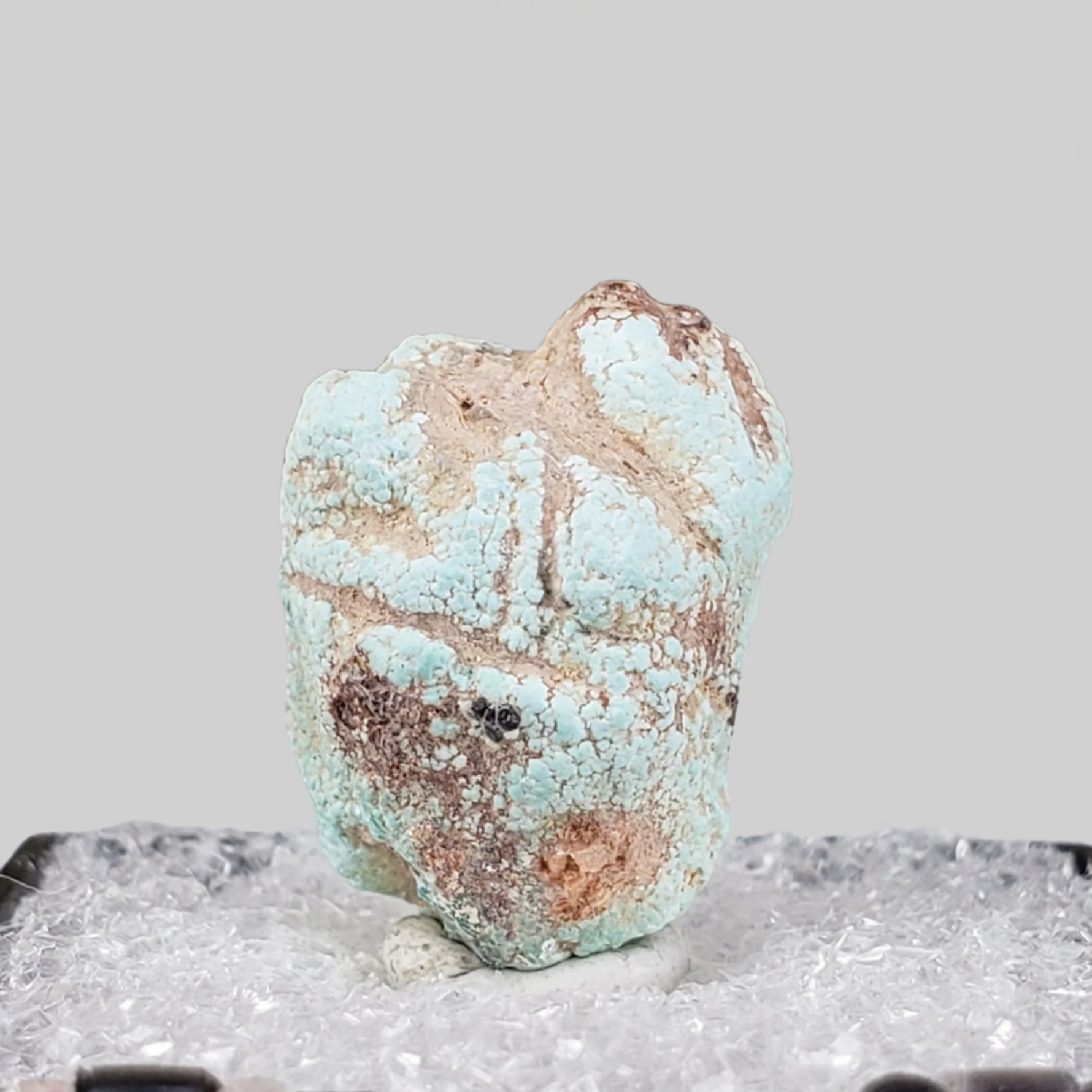  Pseudomorph Turquoise After Apatite | Perky Box Thumbnail Specimen | Sonora, Mexico 2
