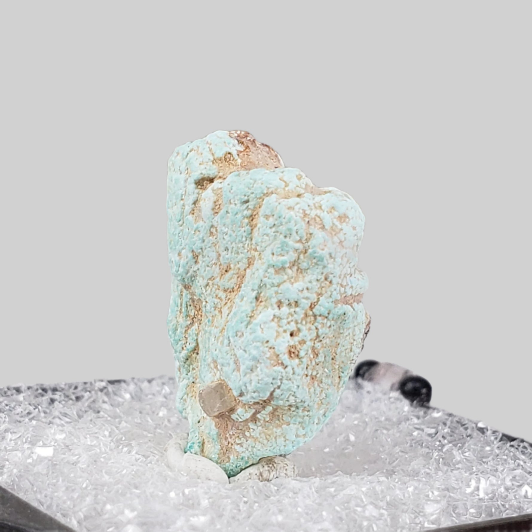  Pseudomorph Turquoise After Apatite | Perky Box Thumbnail Specimen | Sonora, Mexico 4