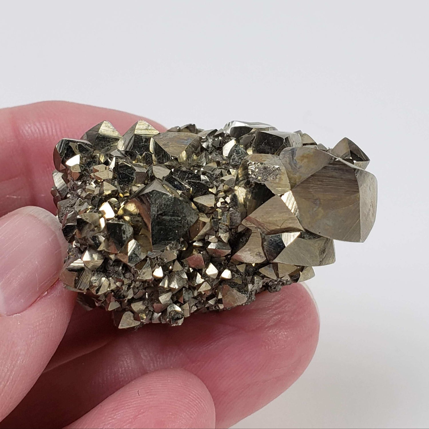  Pyrite Cluster | 64.4 grams | Canutillos Mine, Bolivia 5