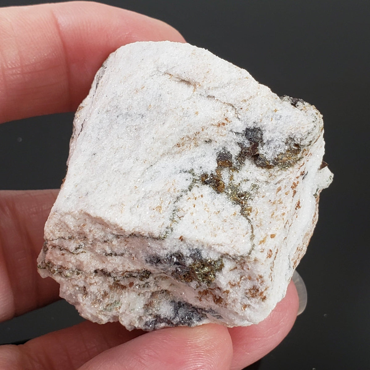  Pyrite, Dravite and Oellacherite on Dolomite | 85 grams | Binn Valley, Switzerland 6