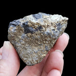  Pyrite on Marmatite Crystal Cluster | 248 grams | Eagle X Mine, Colorado Classic 5